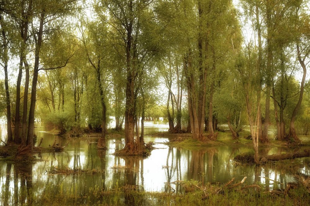 Photograph by Юлия Лушникова