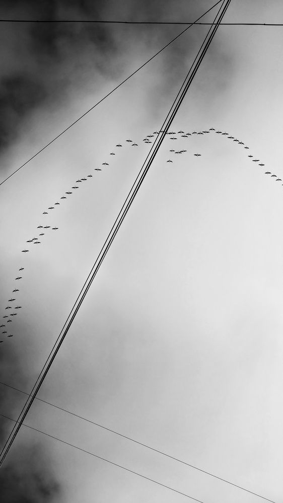Photograph by Elina Nersesova