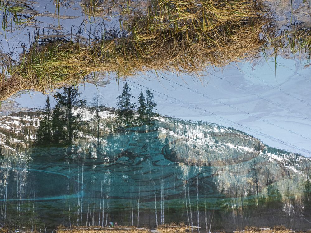 Photograph by Надежда Михайлина