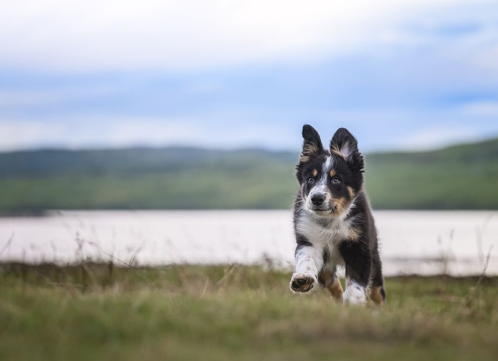 Photograph by Дмитрий Шелковой