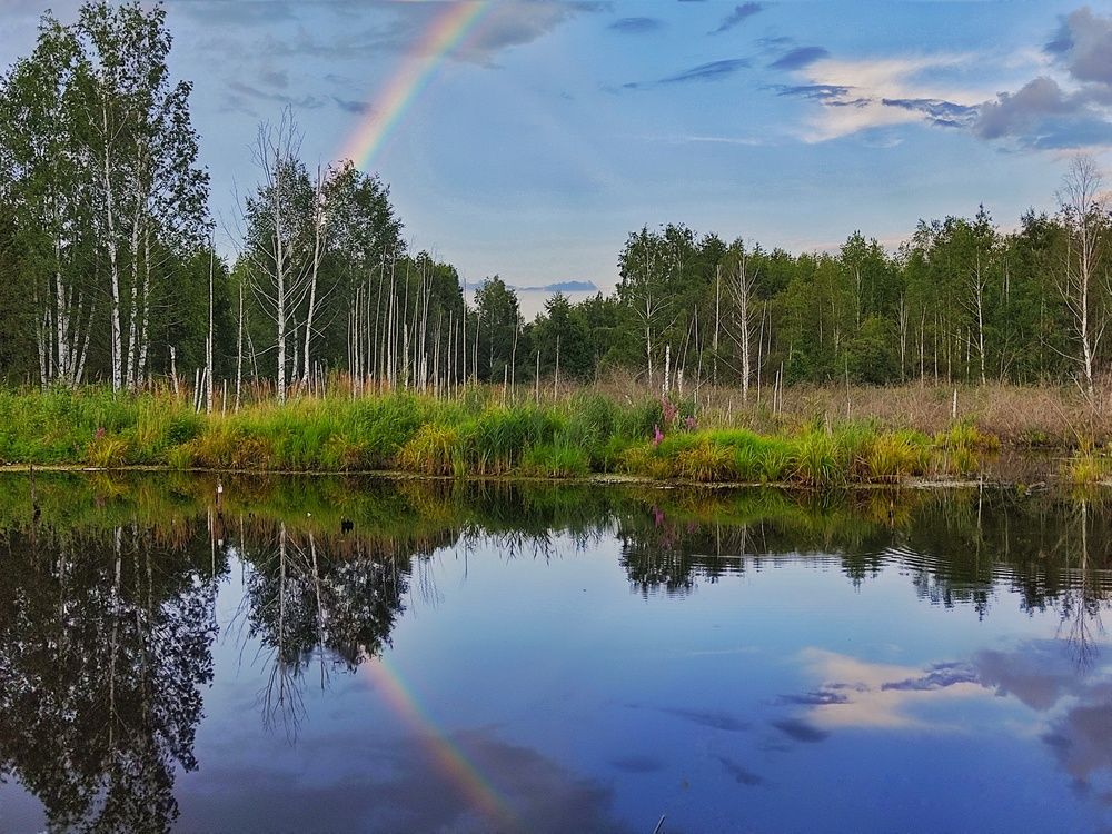 Photograph by Margarita