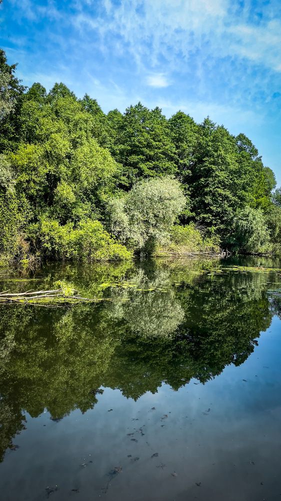 Photograph by Ольга Дорошенко