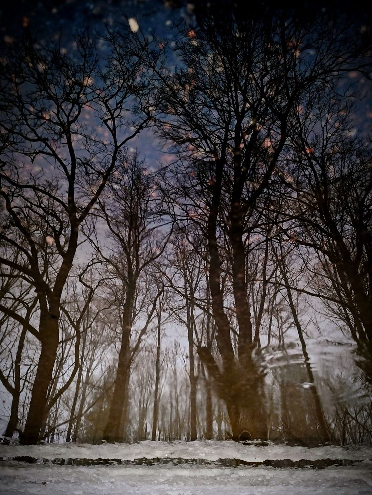 Photograph by Светлана Таркан