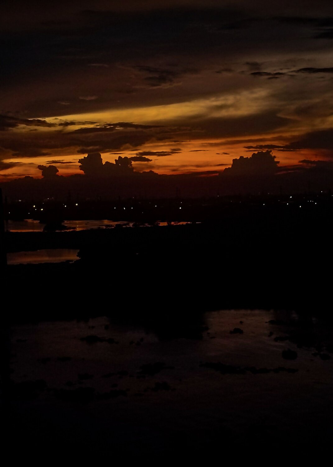 Photo #12294720