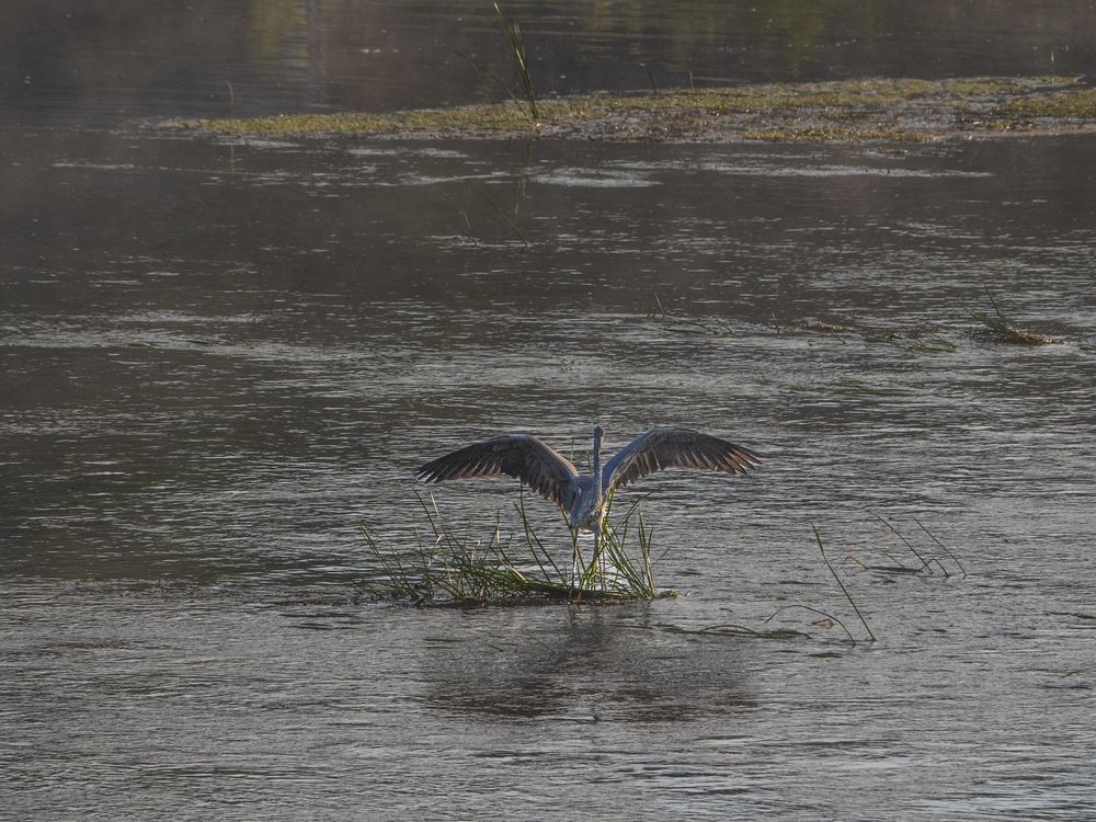 Photograph by Надежда Михайлина