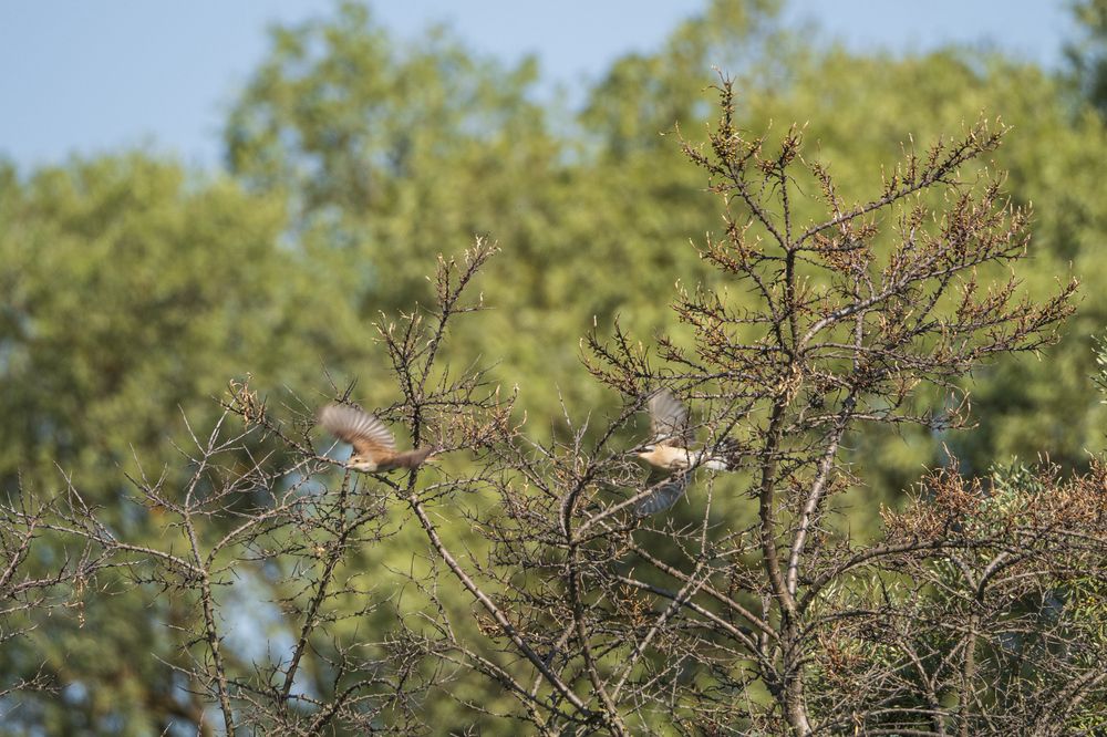 Photograph by Надежда Михайлина