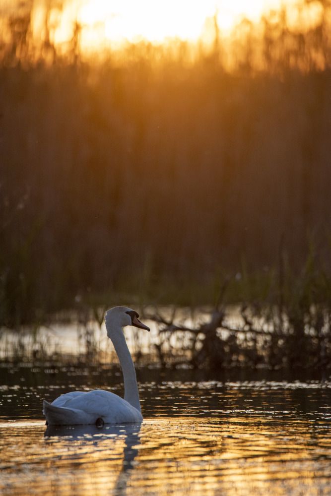 Photograph by Артем Шумов