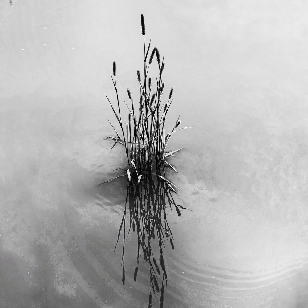 Photograph by Юрий Полушин