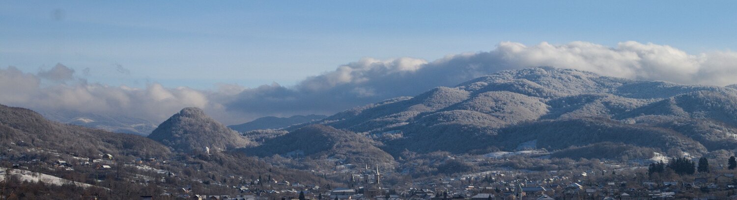 Photo #12294819