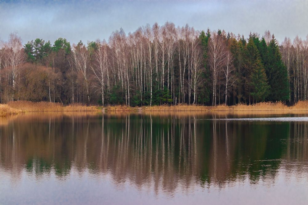 Photograph by Сергей Зайцев