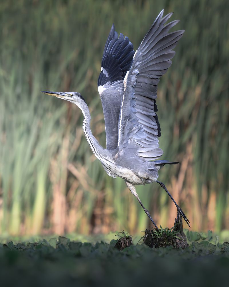 Photograph by Поляков Михаил