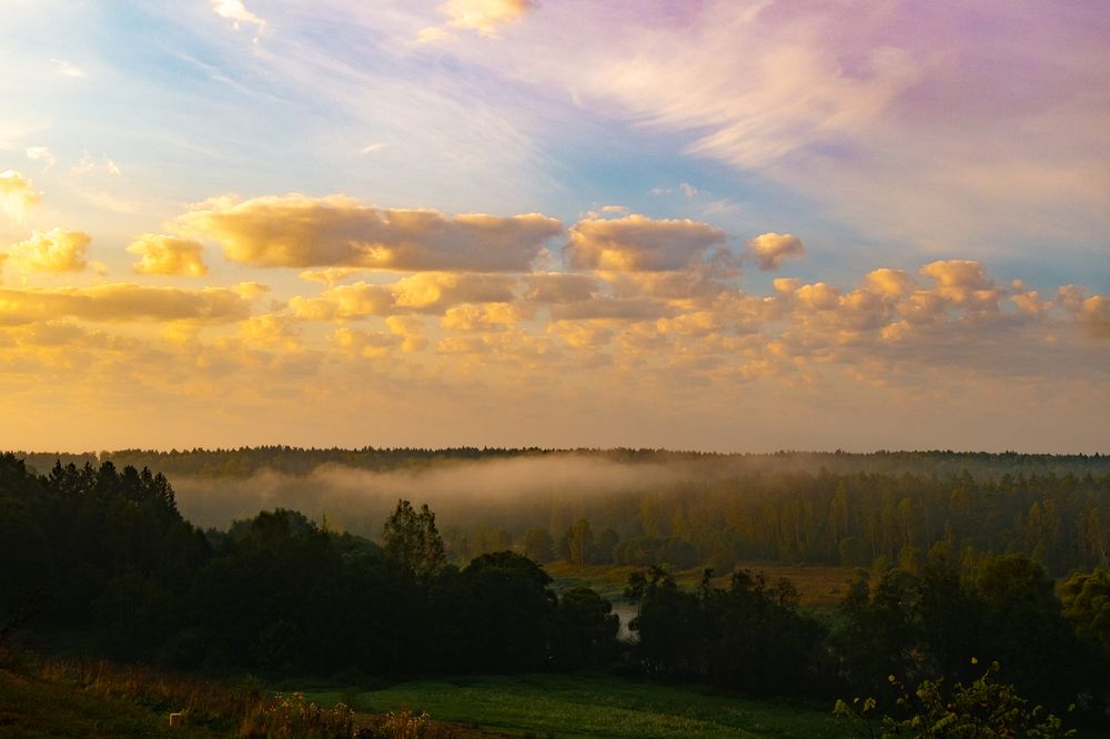Photograph by Алиса