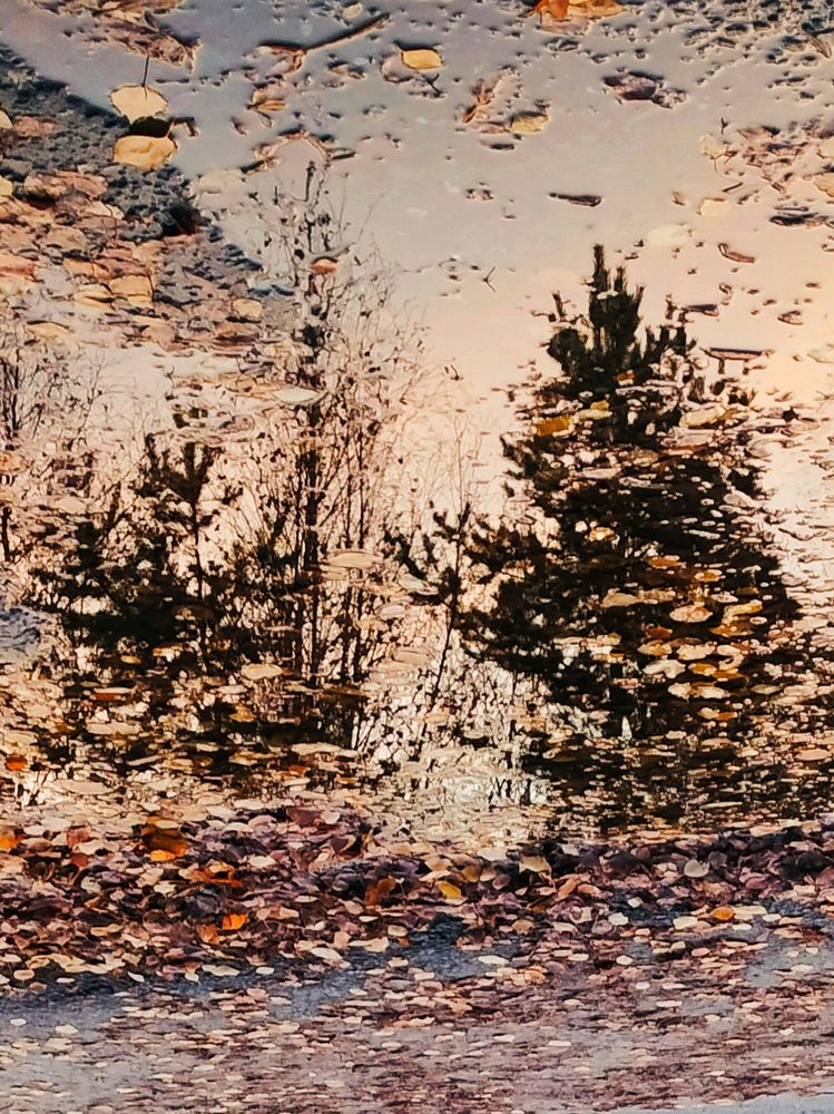 Photograph by Татьяна Небрат