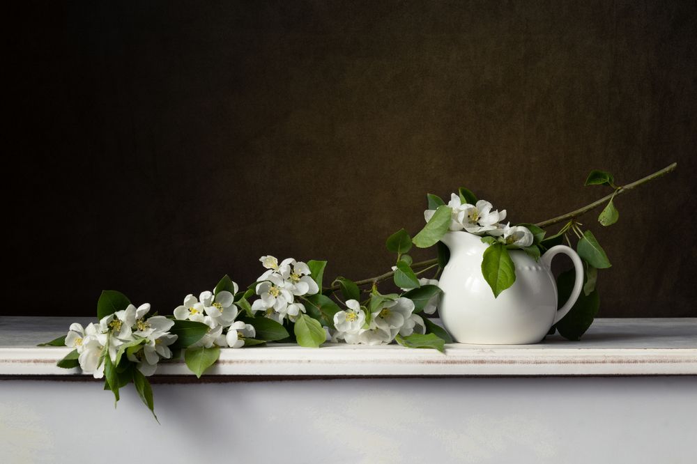 Photograph by Елена Коврижных