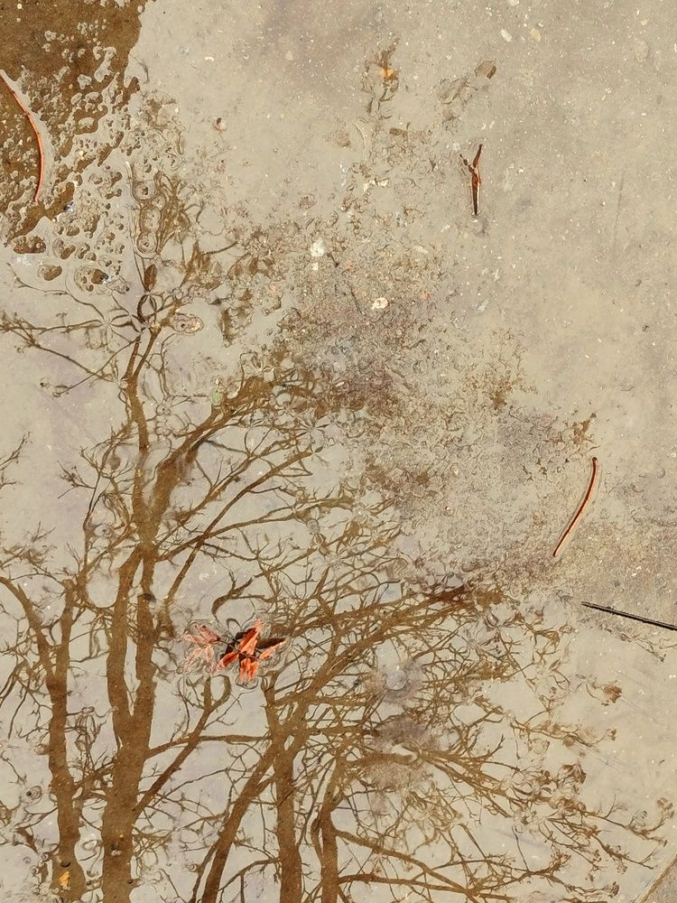 Photograph by Татьяна Небрат