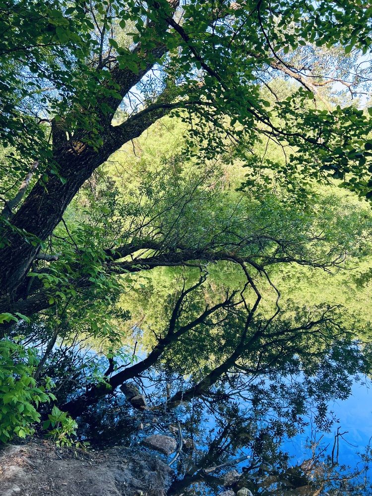 Photograph by Ксения Гулькова