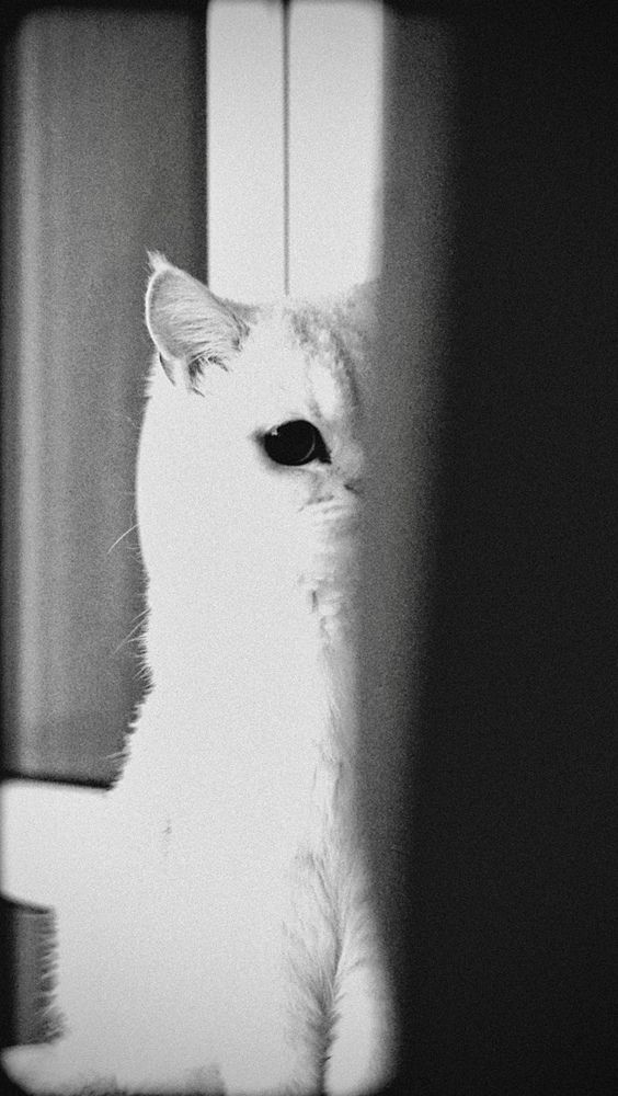 Photograph by Виктория Смехова