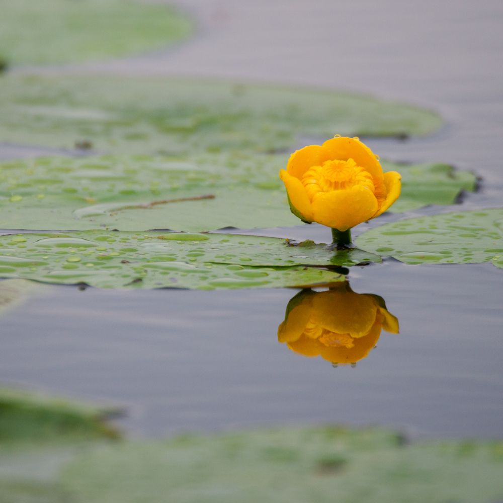 Фотография автора Aлексей Игнатьев