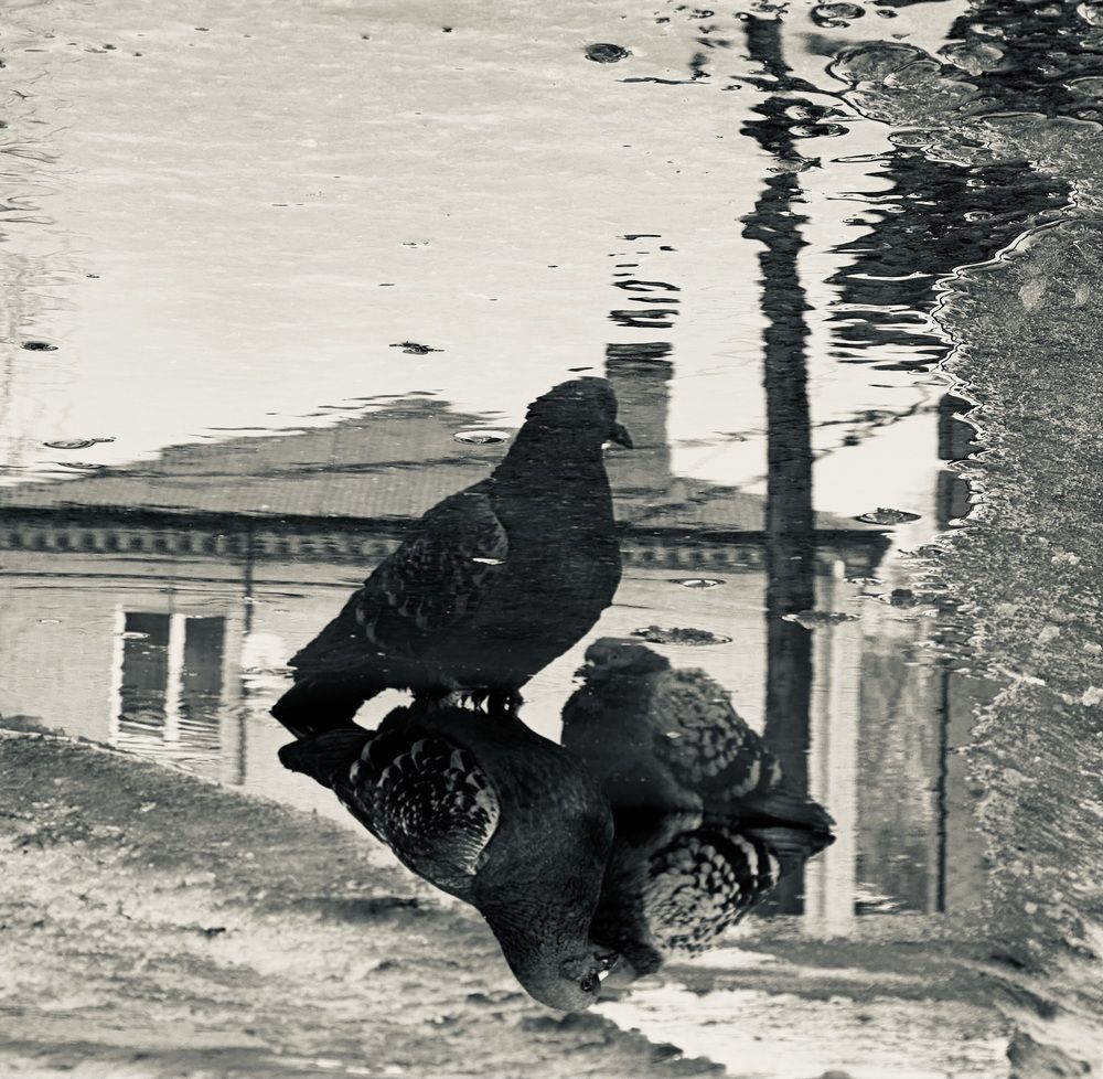 Photograph by Ксения Гулькова