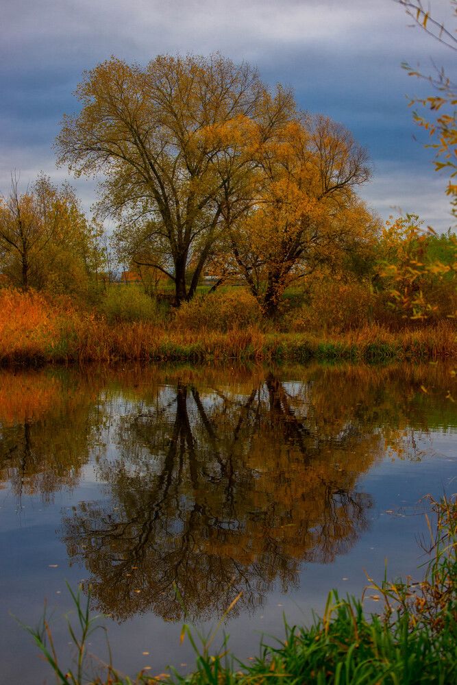 Фотография автора Aлексей Игнатьев