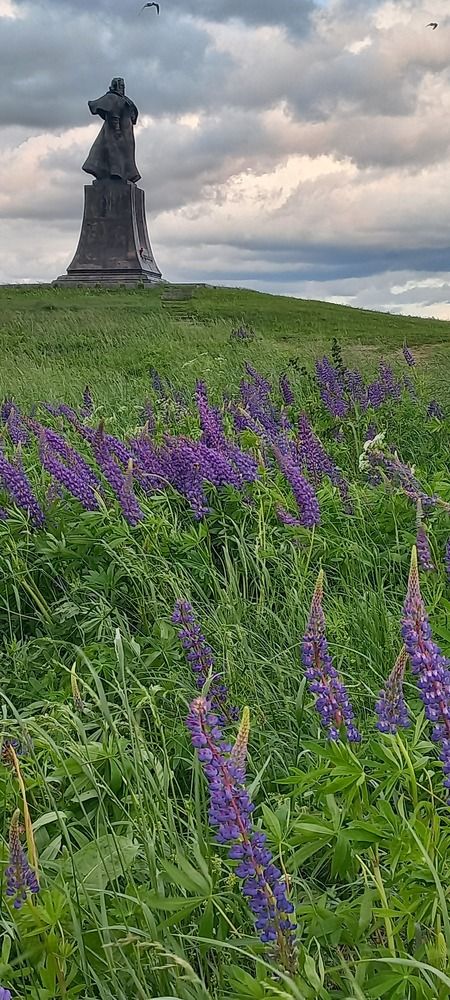 Фотография автора Александр Кожевников