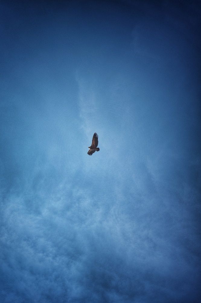 Высоко над землей