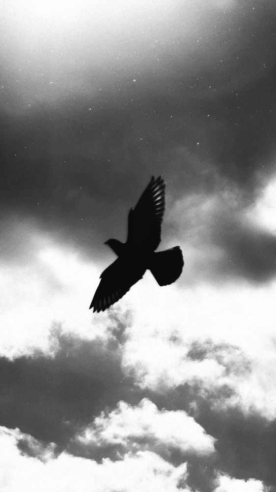 Photograph by Милана