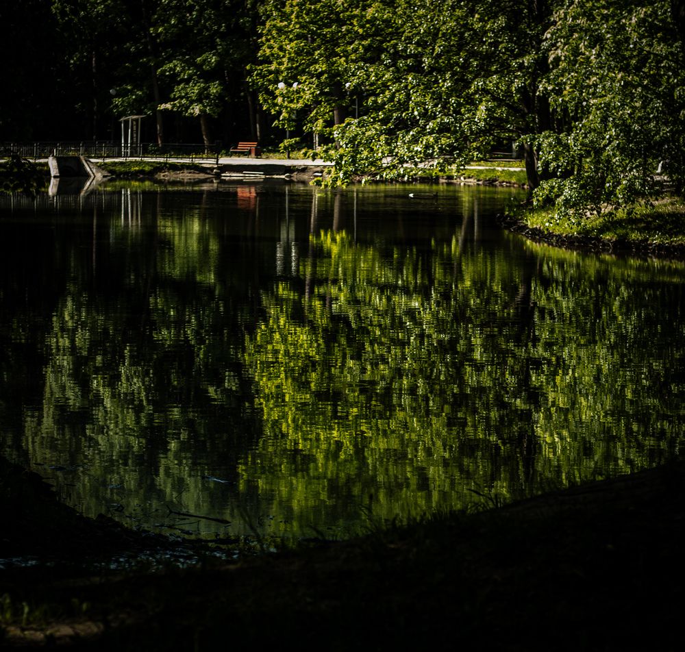 Photograph by Елена Карасёва