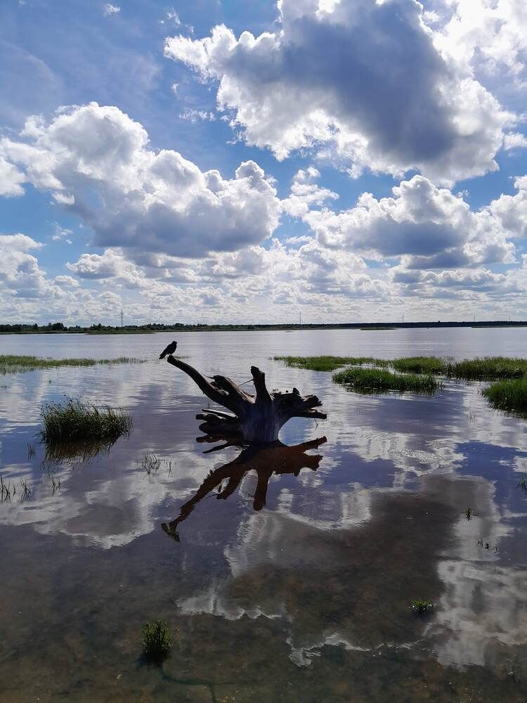 Photograph by Виталий Глазачев