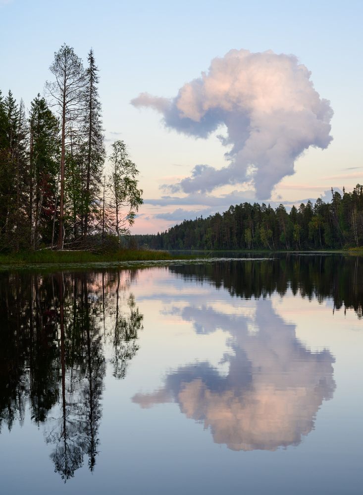 Photograph by Алексей Турчин