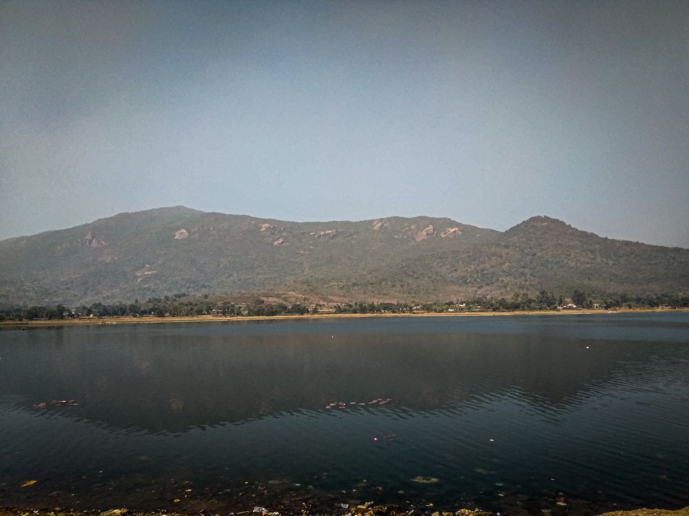 Photo #12295055