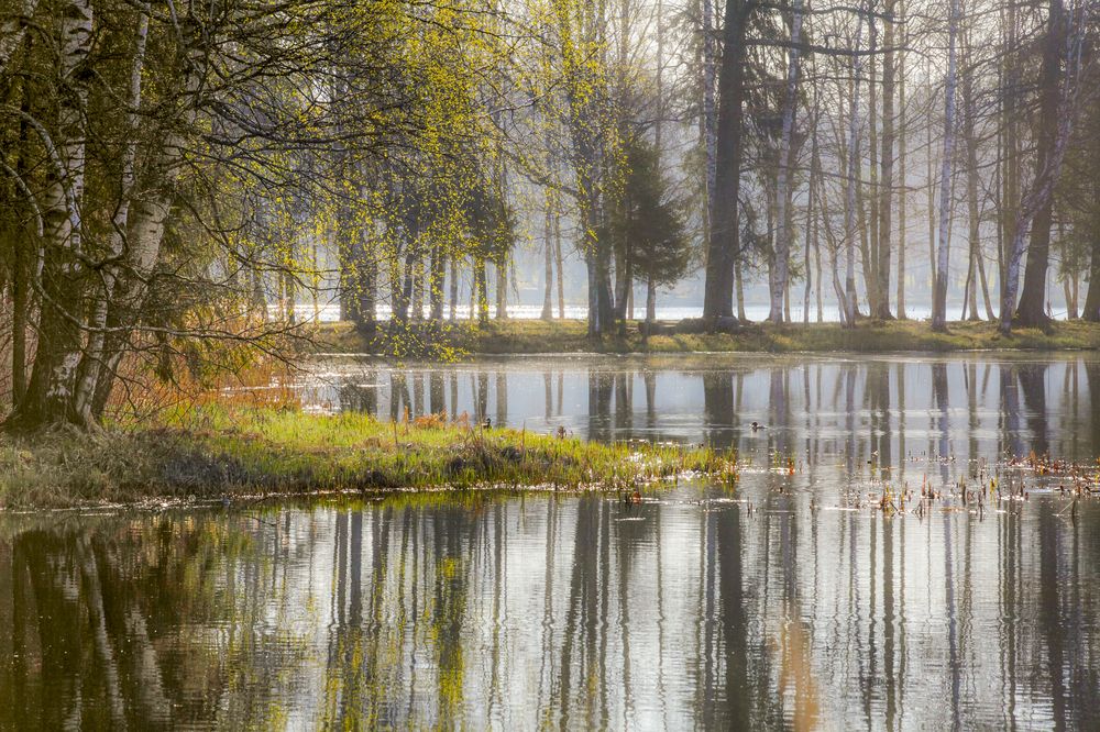 Photograph by  александр михайлов