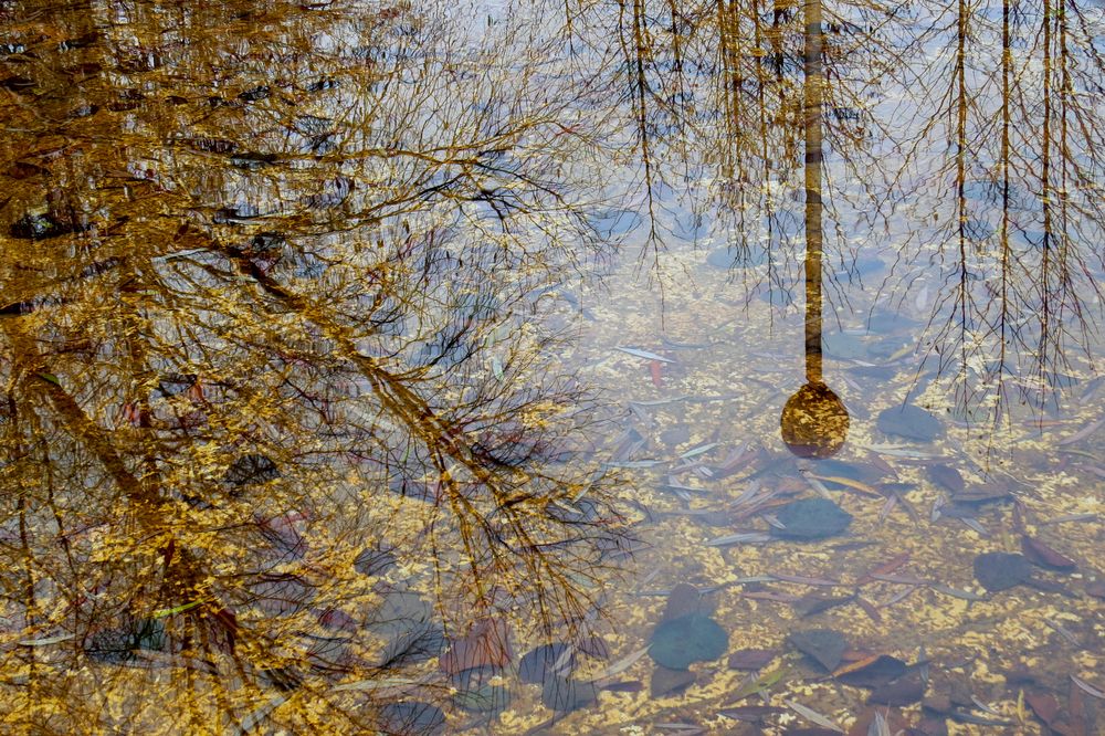 Photograph by Наташа Фишер