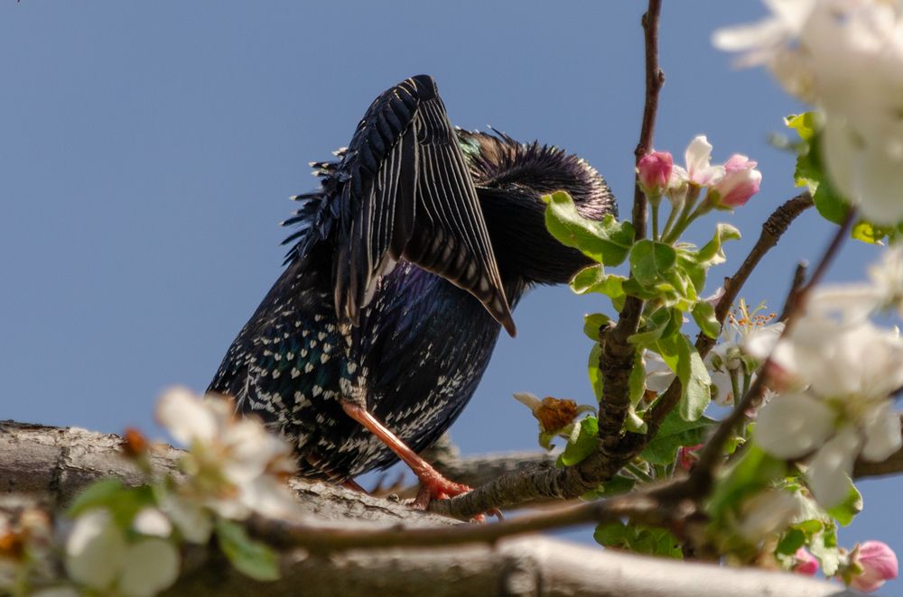 Photograph by Ольга Салтыкова