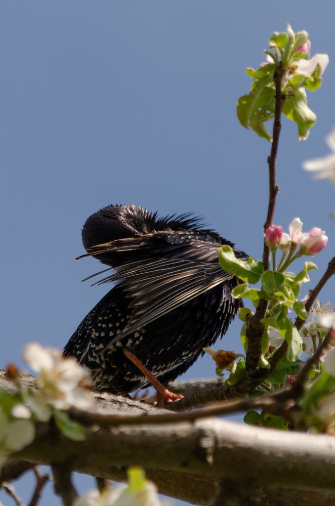 Photograph by Ольга Салтыкова