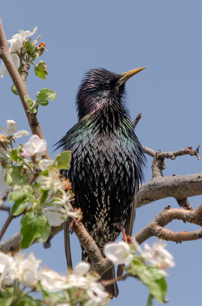 Photograph by Ольга Салтыкова