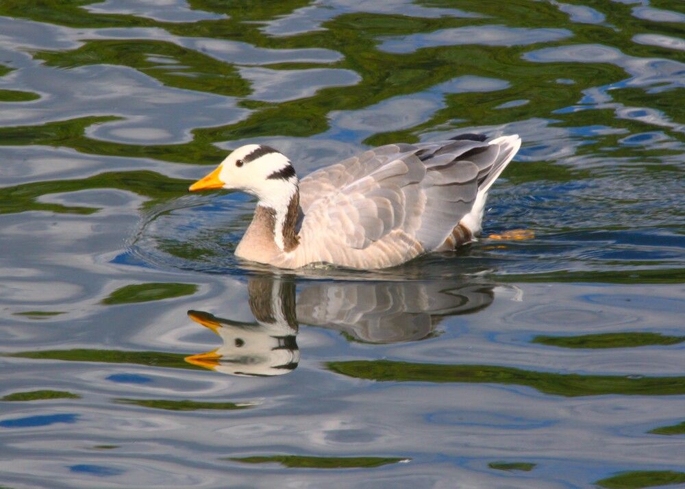 Photograph by Гагик Саркисян