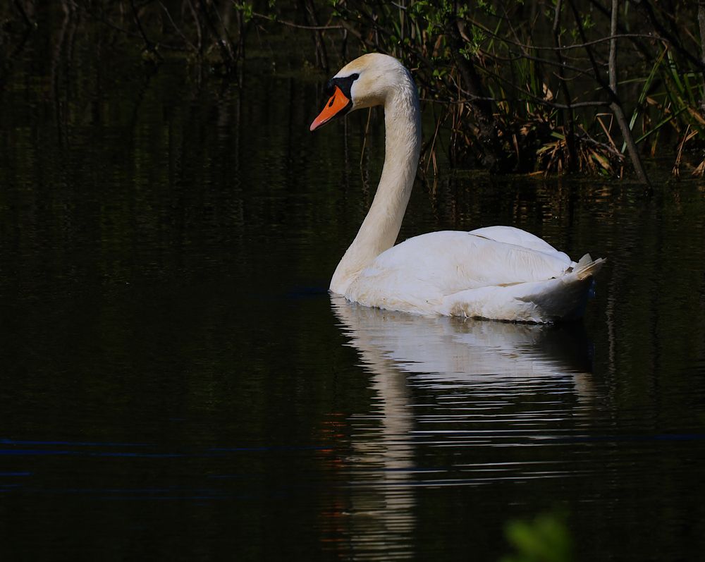 Photograph by Гагик Саркисян