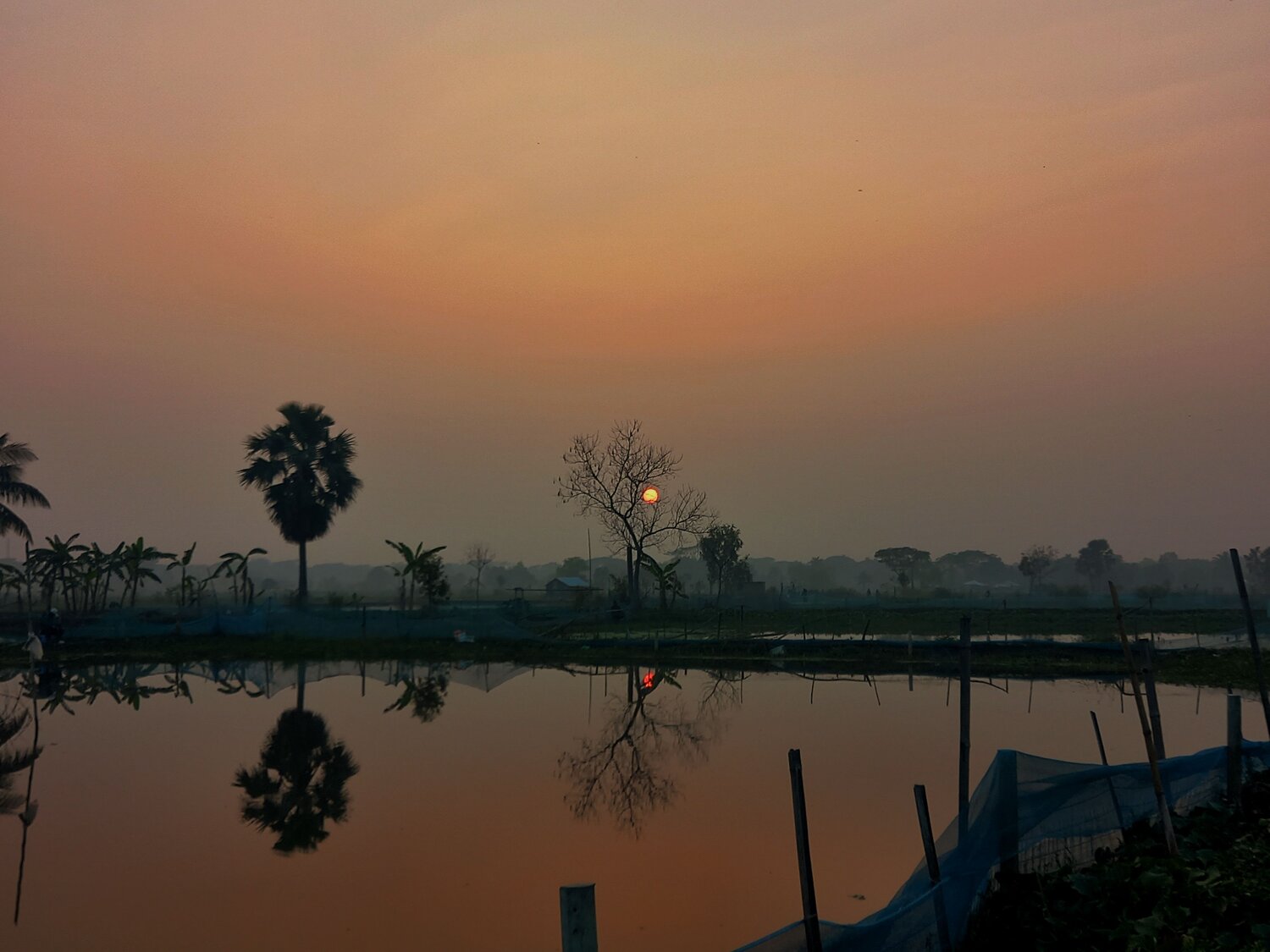 Photo #12295200
