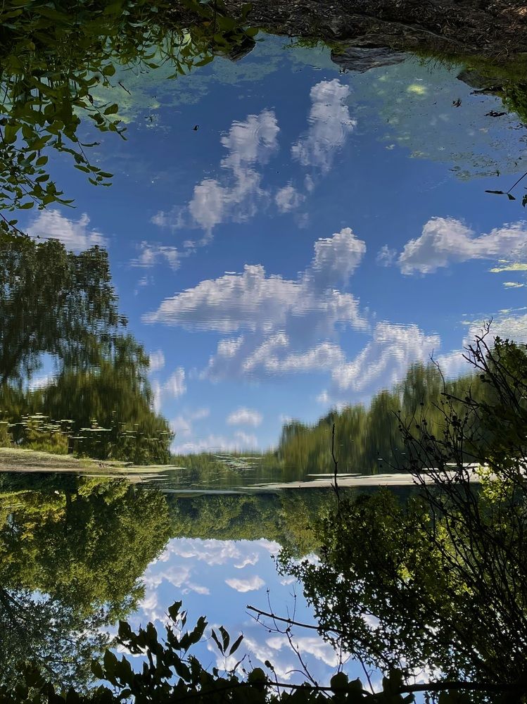 Фотография автора Olga Andriuc