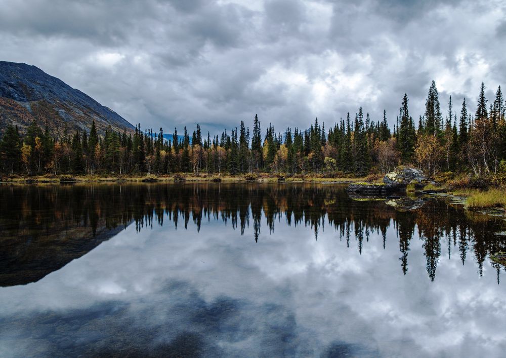 Photograph by Анна Бокова