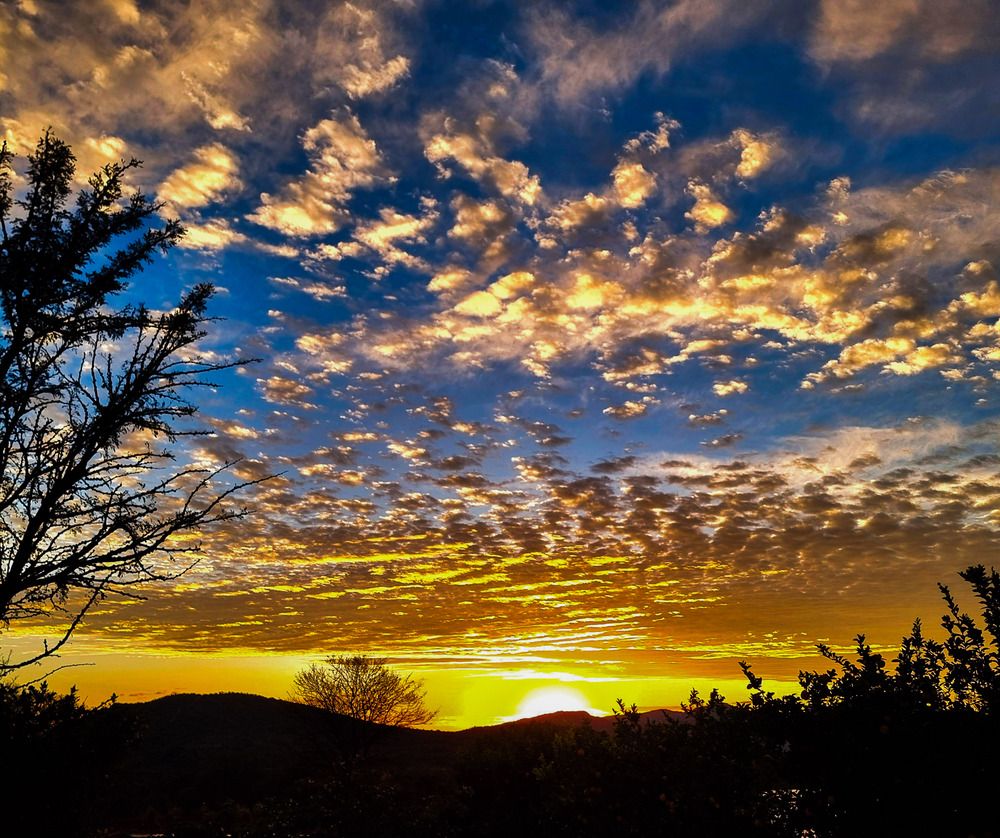 Фотография автора Rita Nel