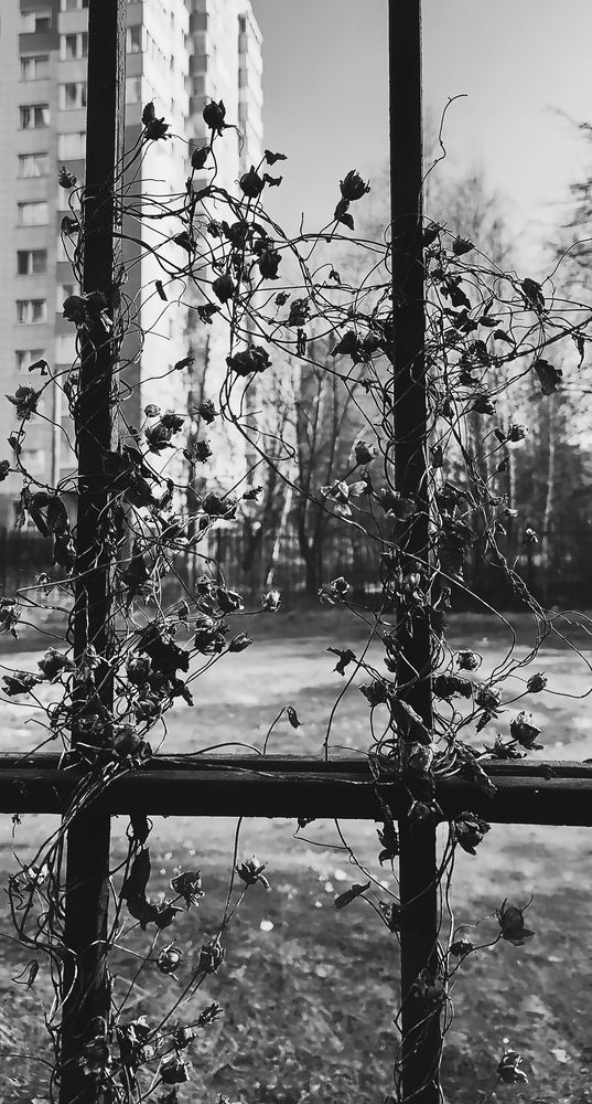 Photograph by Луценко Роман