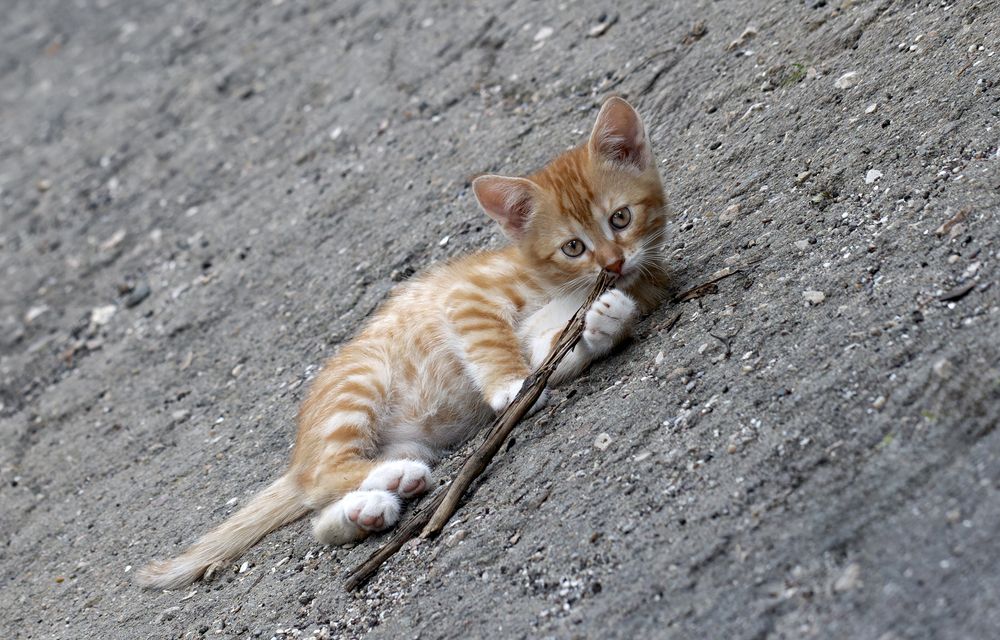 Photograph by Басыров Валерий