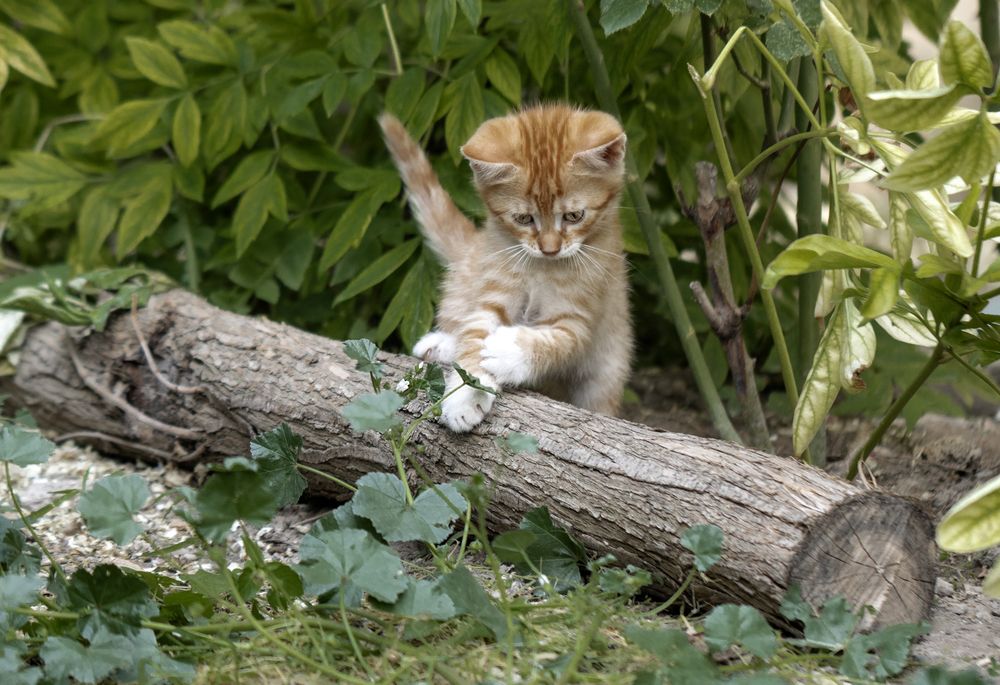 Photograph by Басыров Валерий