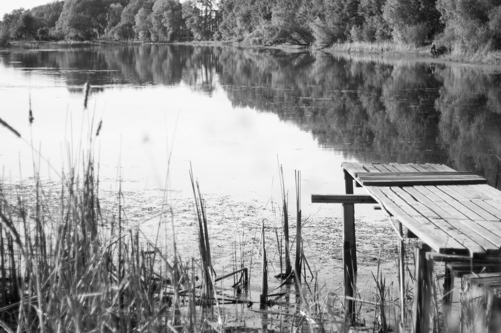 Photograph by Морозов Алексей