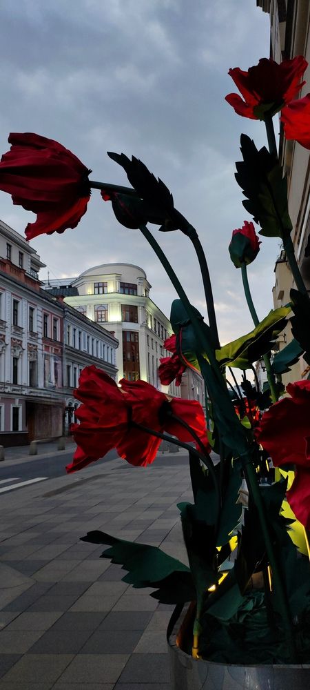 Photograph by Анастасия Большакова