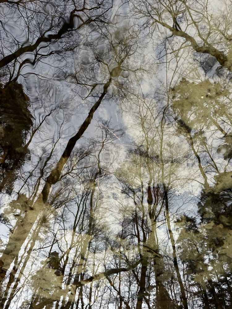 Photograph by Екатерина Кузнецова