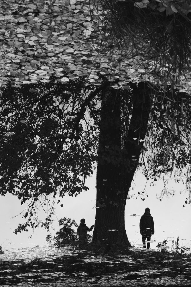 Photograph by Татьяна Стружкина