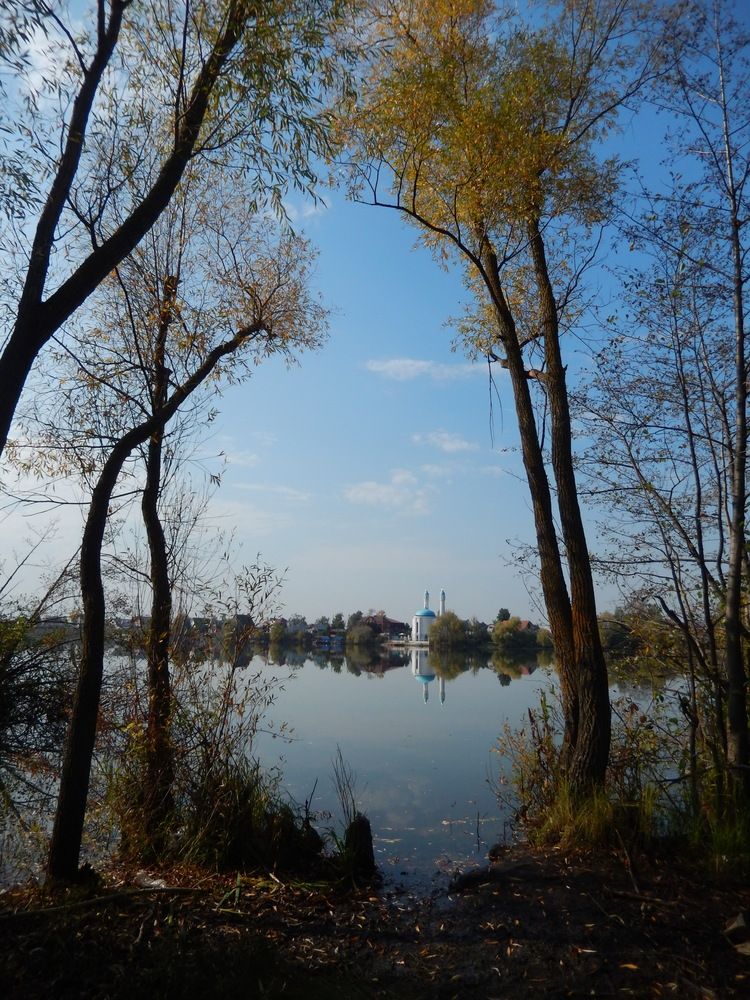 Фотография автора Клавдия Васильева